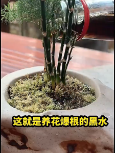 Garden Special Soil Activator Remeding Improving Soil Promoting Rooting Plant Nutrient Solution Multi-Functional Soil Activator