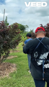 MASARU เครื่องตัดแต่งกิ่งไร้สาย แบตตารี่ 20V พร้อมใช้ 19 นิ้ว SCTH-515 ✂️ พกพาสะดวก ใช้งานง่าย ส่งจากไทย