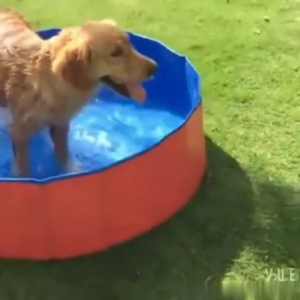Outdoor Bathing Foldable Pet Pool For Cats Dogs To Bathe And Cool Down In Summer Easy To Clean Pet Bathtub Convenient To Carry Easy To Store Suitable For Pets Outdoor/Indoor Use