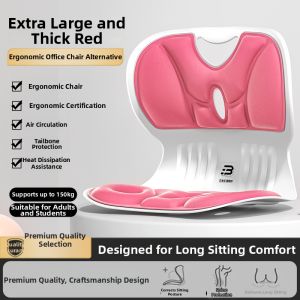 BENBO Lumbar support seat cushion and backrest