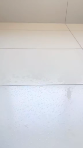 [LOCAL STOCK-Deliver in 1-3 days] All‑in‑1 Floor Cleaner 750ml 99.9% Disinfectant Lemon Scent Multi‑Surface Hard Floor Cleaning Liquid Quick‑Dry Streak‑Free