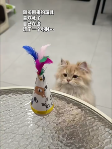 Tumbler Cat Toy Interactive Self-Happy Wooden Cat Tumbler Wobbler Cartoon Bite Resistant Feather Toy