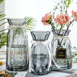 European Style Glass Vase Creative Decoration Flower vase home decor water plants vase