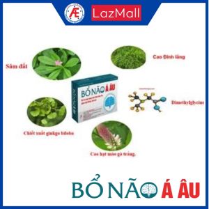 Bổ Não Á ÂU- Hỗ trợ tăng cường tuần hoàn máu não giảm căng thẳng mệt mỏi do thiểu năng tuần hoàn máu não hộp 30 viên