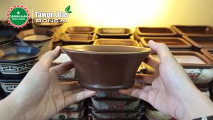 Pot Keramik Bonsai Bundar Bagus