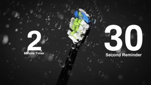 ShineSense STB200 Sonic Electric Toothbrush 5 Modes 4 Brush Head 90 Days Battery Life with Ipx7 Waterproof Rechargeable for Kid Adults Teeth Whitening Tooth Cleaning