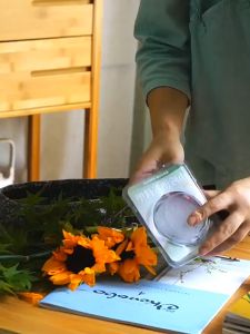 335. Transparent Plastic Sword Mountain Floral Arranging Base Zen-style Chinese and Japanese Ikebana Small Original School Ikenobo Floral Arrangement Base T1045