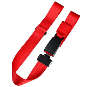 SHUOHUANG | Children No-Install Two-point Safety Belt For E-trike And Motorcycle
