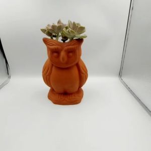 Chậu đất nung chậu sen đá - Cú mèo truyền thuyết 922 miệng chậu 9cm chiều cao 22cm