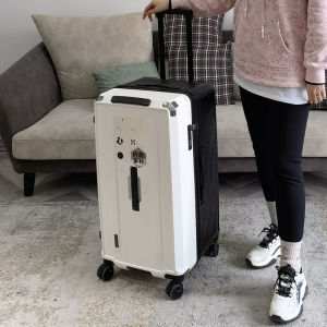 Large Capacity 40-Inch Password-Locked Travel Suitcase with Thickened Pull Rod for Men And Women Fashionable ABS+PC Material
