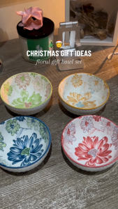 HAVN Living Japanese Ceramic Bowl Set Floral Design Premium Dinnerware with Gift Box