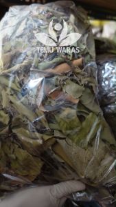 Daun Benalu Kering 100 gr Kering Solusi Herbal Ambeyen