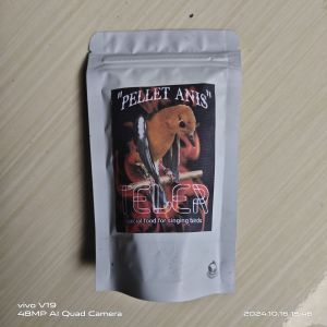 bima sakti Anis merah pakan burung teler rajin berkicau