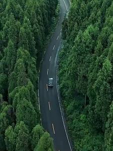 JEEP SPIRIT Waterproof & Windbreaker Jacket for Women