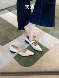 Korean Style Mary Jane Shoes for Women Soft Leather Thick Heel Metal Buckle Slip-On Pointed Toe Fashionable Casual Footwear