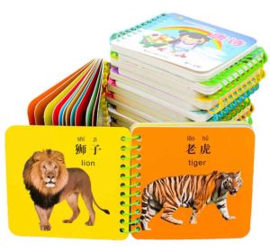 Letter Pinyin Literacy book and Child Early Education Learning Book Hard Cover
