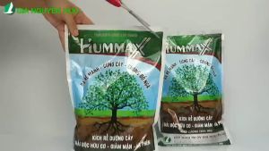 COMBO 2 SẢN PHẨM ĐẦU VỤ CHUYÊN LÚA - HUMMAX (1KG) VÀ RA RỄ NỞ BỤI (1 LÍT) lúa ra rễ nhanh nở bụi tốt tiết kiệm phân bón