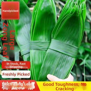 Vacuum Pack No-additive Large Wide Bamboo Leaves for Dragon Boat Festival