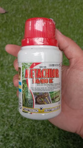 Insektisida Metachlor 650 EC 100ML