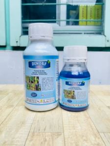 Fungisida DIMORF 500 SC dari Mitra Agro Sukses