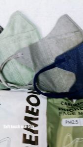 【CAREION】Caremeon 3D Duckbill Mask 4 Layer Earloop / Talinga 4ply Face Mask 10pcs packing BFE>95% Disposable V mask