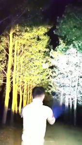 Đèn Pin Đội Đầu Siêu Sáng Chiếu Sáng Chuyên Dụng Cho Chạy Bộ / Cắm Trại