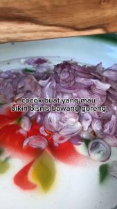 Parutan Serbaguna Pemotong Bawang Merah Irisan Bawang Merah  Pengiris Bawang merah Pemotong Bawang