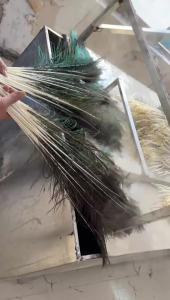 Peacock Feathers Natural Plumes for DIY Jewelry Making Home Vase Decor Wedding Party Festival Carnival Costume Decoration