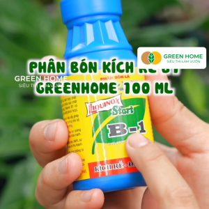 Mua 5 tặng 1 - Phân Bón Kích Rễ Greenhome B1 Chai 100ml Tạo Mầm Rễ Khoẻ Sai Hoa Phục Hồi Rễ Yếu Lá Dày