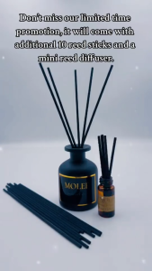 Molee Hotel Inspired Mini Reed Diffuser 10 ml | Small and Compact