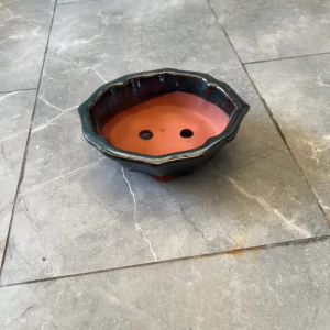 Chậu Sứ Trồng Cây Cảnh Để Bàn Cây Bonsai Cây ăn trái Hình Chiếc Lá