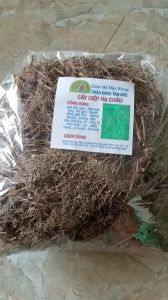 1kg cây diệp hạ châu sấy khô