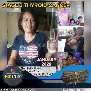 POLLY VINE ANTI CANCER/ TUMOR/ POLYPS ETC. (1BUNDLE IS GOOD FOR 1 MONTH)
