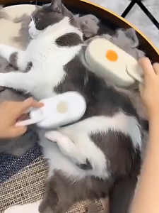 Pet Brush 3 in 1 Steam Brush For Cat Massage Dog Brush Cat Brush Pet Grooming Comb Hair Removal