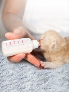 Pet Milk Bottle For Newborn Puppies and Kittens