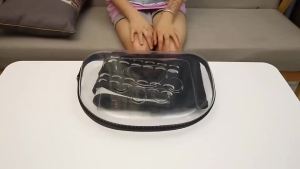 Carrier Transparent Bag Portable Cats Handbag Foldable Collapsible Travel Breathable Bags