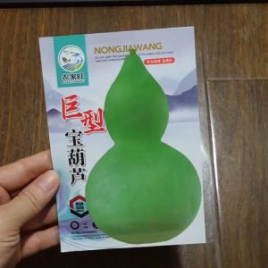 Hạt giống bầu hồ lô trái lớn ( trái to ) hạt giống bầu hồ lô nhập khẩu nội địa Trung