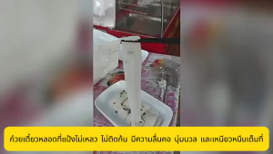 Elementmax ครื่องนึ่งเส้นก๋วยเตี๋ยว ระบบแก๊สอัตโนมัติ สแตนเลส เครื่องนึ่งแบบมีลิ้นชัก เหมาะสำหรับร้านอาหารเช้า