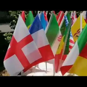 6Pcs Hand Held Flags with Poles World Cup 65 Countries Small Hand National Team Flags with 14*21 CM