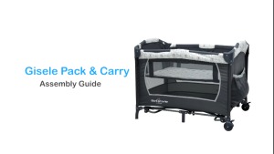 Giant Carrier GISELE Rocking & Bassinet Pack & Carry
