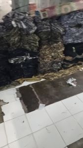 kargo pendek kopsus