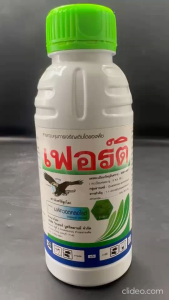 หัวเสือ เฟอร์ติ ขนาด 500 cc เมพิควอตคลอไรด์ หยุดใบอ่อน เร่งใบแก่ เร่งออกดอก สะสมอาหาร ป้องกันแตกยอด ใช้ในถั่วทุกชนิด พริก มะเขือ ทุเรียน ข้าว ไม้ผล npkplant