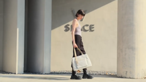 Kingsons Multi-Compartment Tote Bag (17L) KS25001
