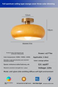NSWR | Retro Wabi-Sabi Style Ceiling Light for Corridors and Hallways