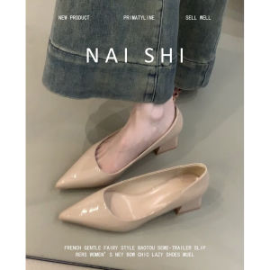 NAISHI | Elegant and Comfortable Commuter Pointed Toe Low-Cut Patent Nude Heeled Shoes