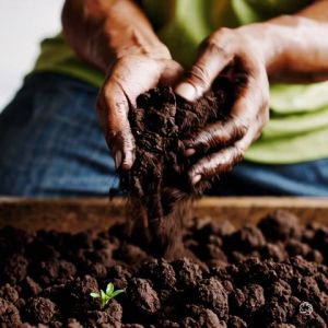 8KG 20L Tanah Baja Organik Campur 6 IN 1 Istimewa Special Organic Soil Vegetable Sayur Flower Bunga Pokok