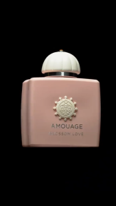 Flash Sale New Perfume Amouage_Blossom Love Eau De Parfum Spray 100ml Floral Fragrance For Women