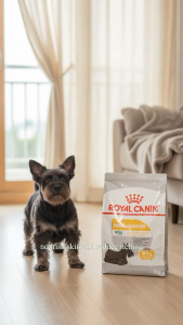 Royal Canin Mini Dermacomfort 3kg Adult Dry Dog Food - Canine Care Nutrition for Small Breed Dogs (1-10kg) Prone to Skin Irritation & Itching | Reduced Allergen Formula with Omega 3 & 6 for Coat Care & Dental Health [Fresh Stock Available]