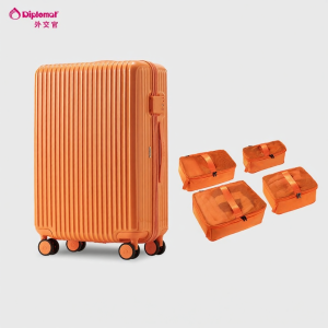 Diplomat | Iridescent Travel Luggage Set
