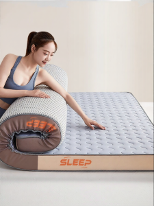 Yuzhaolin | Latex Memory Foam Thickened Single Mattress